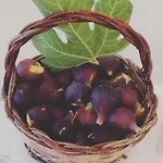 Li Monaci - - Ecobio Relais גאליפולי