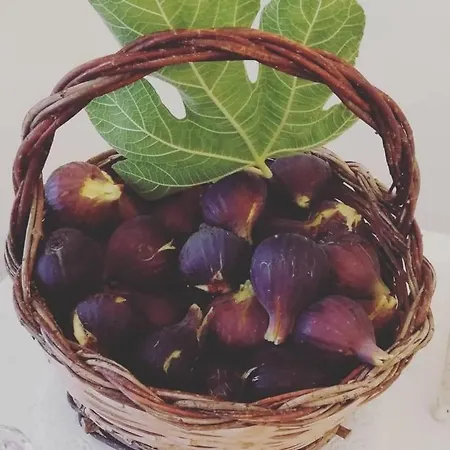 Li Monaci - - Ecobio Relais גאליפולי